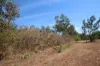 95 Erickson Crescent, Wagait Beach, NT 0822-Image