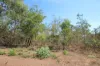 95 Erickson Crescent, Wagait Beach, NT 0822-Image