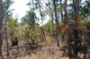 95 Erickson Crescent, Wagait Beach, NT 0822-Image