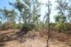 95 Erickson Crescent, Wagait Beach, NT 0822-Image