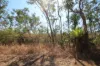 95 Erickson Crescent, Wagait Beach, NT 0822-Image