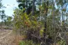 95 Erickson Crescent, Wagait Beach, NT 0822-Image