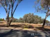 95 North Road, Chiltern, Vic 3683-Image