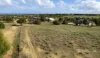 95 Stirling Place, Waggrakine, WA 6530-Image