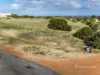 95 Stirling Place, Waggrakine, WA 6530-Image