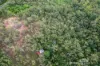 96 Bakers Road, Mount Molloy, Qld 4871-Image