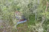 96 Bakers Road, Mount Molloy, Qld 4871-Image