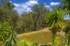 96 Forest Ridge Drive, Tamaree, Qld 4570-Image