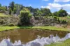 96 Forest Ridge Drive, Tamaree, Qld 4570-Image