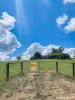 96 Whites Road, Young, NSW 2594