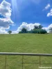 96 Whites Road, Young, NSW 2594-Image