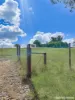 96 Whites Road, Young, NSW 2594-Image