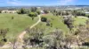 96 Whites Road, Young, NSW 2594-Image