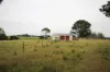 964 Grand Ridge Road, Blackwarry, Vic 3844-Image