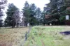 964 Grand Ridge Road, Blackwarry, Vic 3844-Image