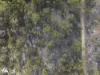 97 Mount Louis Road, Tinderbox, Tas 7054-Image
