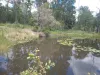 98 Mcilwraith Road, McIlwraith, Qld 4671-Image