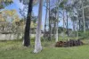 98 Riverside Drive, Karuah, NSW 2324-Image