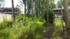 98 Riverside Drive, Karuah, NSW 2324-Image