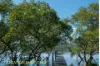 98 Riverside Drive, Karuah, NSW 2324-Image