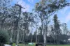 98 Riverside Drive, Karuah, NSW 2324-Image