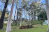 98 Riverside Drive, Karuah, NSW 2324-Image