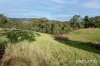 99 North Huon Road, Ranelagh, Tas 7109-Image