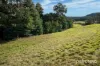 99 North Huon Road, Ranelagh, Tas 7109-Image