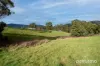 99 North Huon Road, Ranelagh, Tas 7109-Image
