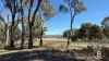 99 Orme Street, Avoca, Vic 3467-Image