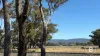 99 Orme Street, Avoca, Vic 3467-Image