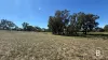 99 Orme Street, Avoca, Vic 3467-Image