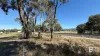 99 Orme Street, Avoca, Vic 3467-Image