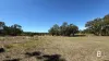 99 Orme Street, Avoca, Vic 3467-Image