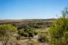 99 Wannerenooka Road, Northampton, WA 6535-Image