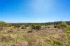 99 Wannerenooka Road, Northampton, WA 6535-Image