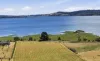 996 Windermere Road, Swan Bay, Tas 7252