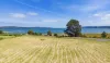 996 Windermere Road, Swan Bay, Tas 7252-Image