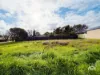 9A Frontenac Avenue, Panorama, SA 5041-Image