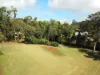 9B Hutton Drive, Tolga, Qld 4882-Image