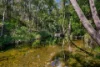 Address available on request, Amamoor Creek, Qld 4570-Image