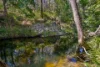 Address available on request, Amamoor Creek, Qld 4570-Image