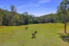 Address available on request, Amamoor Creek, Qld 4570-Image
