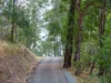 Address available on request, Cedar Creek, Qld 4520-Image