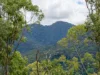 Address available on request, Cedar Creek, Qld 4520-Image