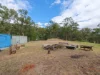 Address available on request, Cedar Creek, Qld 4520-Image