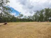 Address available on request, Cedar Creek, Qld 4520-Image