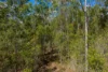 Address available on request, Curra, Qld 4570-Image