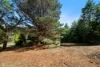 Address available on request, Dover, Tas 7117-Image