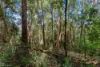 Address available on request, Dover, Tas 7117-Image